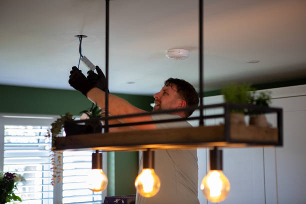 Best Electric Panel Repair  in Riner, VA